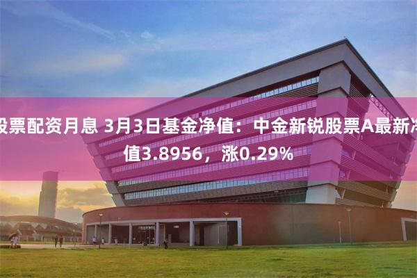 股票配资月息 3月3日基金净值：中金新锐股票A最新净值3.8956，涨0.29%