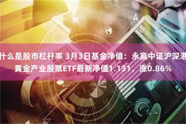 什么是股市杠杆率 3月3日基金净值：永赢中证沪深港黄金产业股票ETF最新净值1.131，涨0.86%
