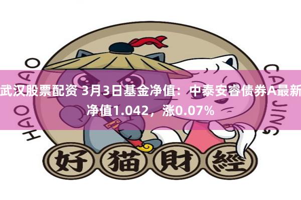 武汉股票配资 3月3日基金净值：中泰安睿债券A最新净值1.042，涨0.07%