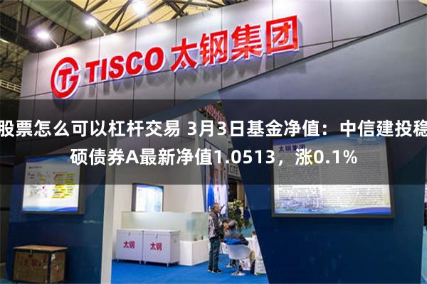 股票怎么可以杠杆交易 3月3日基金净值：中信建投稳硕债券A最新净值1.0513，涨0.1%