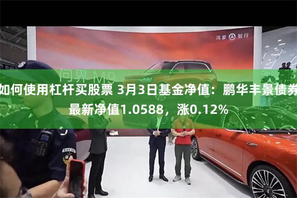 如何使用杠杆买股票 3月3日基金净值：鹏华丰景债券最新净值1.0588，涨0.12%