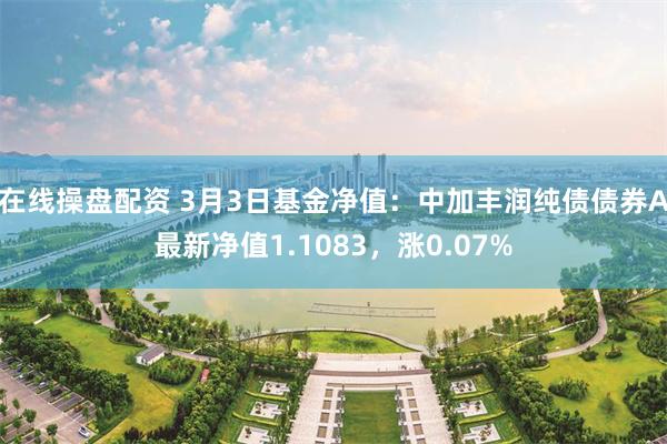 在线操盘配资 3月3日基金净值：中加丰润纯债债券A最新净值1.1083，涨0.07%