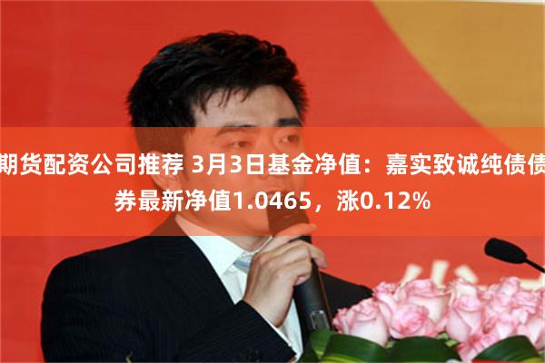 期货配资公司推荐 3月3日基金净值：嘉实致诚纯债债券最新净值1.0465，涨0.12%
