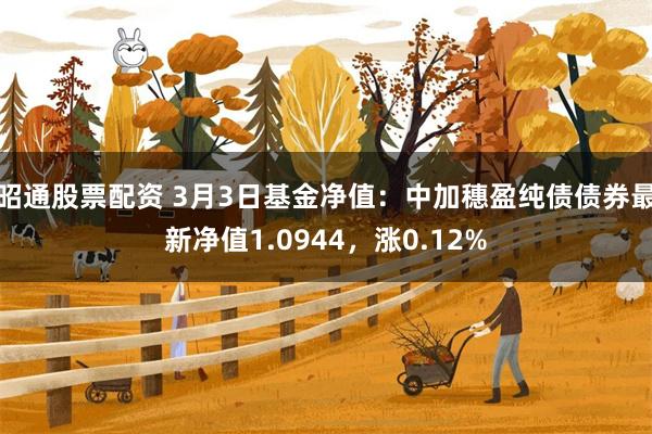 昭通股票配资 3月3日基金净值：中加穗盈纯债债券最新净值1.0944，涨0.12%