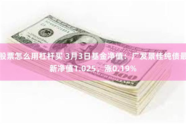 股票怎么用杠杆买 3月3日基金净值：广发景佳纯债最新净值1.025，涨0.19%