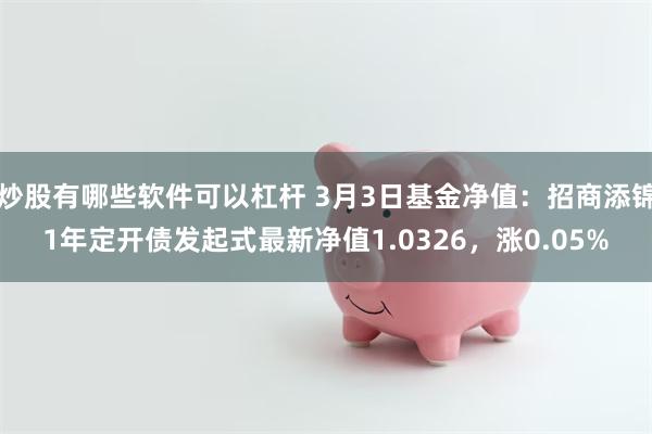 炒股有哪些软件可以杠杆 3月3日基金净值：招商添锦1年定开债发起式最新净值1.0326，涨0.05%
