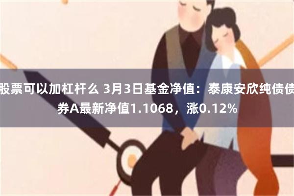 股票可以加杠杆么 3月3日基金净值：泰康安欣纯债债券A最新净值1.1068，涨0.12%