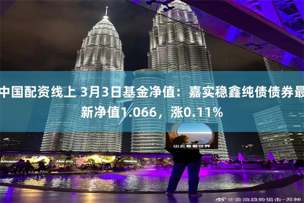 中国配资线上 3月3日基金净值：嘉实稳鑫纯债债券最新净值1.066，涨0.11%