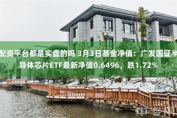 配资平台都是实盘的吗 3月3日基金净值：广发国证半导体芯片ETF最新净值0.6496，跌1.72%