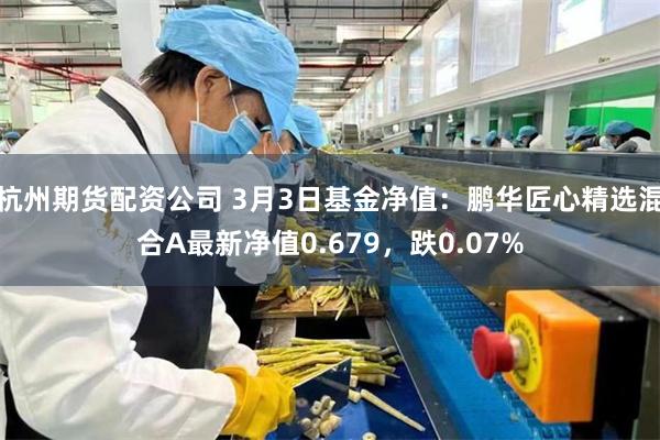 杭州期货配资公司 3月3日基金净值：鹏华匠心精选混合A最新净值0.679，跌0.07%