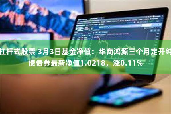 杠杆式股票 3月3日基金净值：华商鸿源三个月定开纯债债券最新净值1.0218，涨0.11%