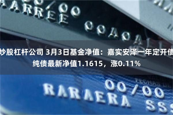 炒股杠杆公司 3月3日基金净值：嘉实安泽一年定开债纯债最新净值1.1615，涨0.11%