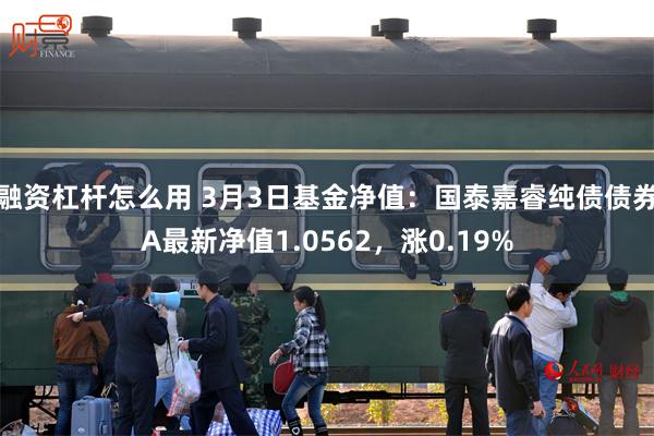 融资杠杆怎么用 3月3日基金净值：国泰嘉睿纯债债券A最新净值1.0562，涨0.19%