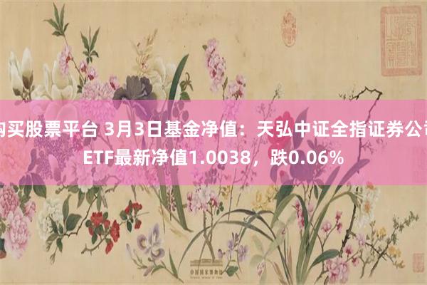 购买股票平台 3月3日基金净值：天弘中证全指证券公司ETF最新净值1.0038，跌0.06%