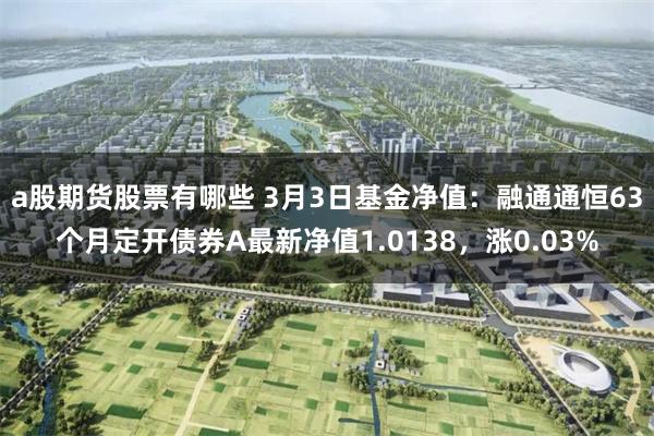 a股期货股票有哪些 3月3日基金净值：融通通恒63个月定开债券A最新净值1.0138，涨0.03%