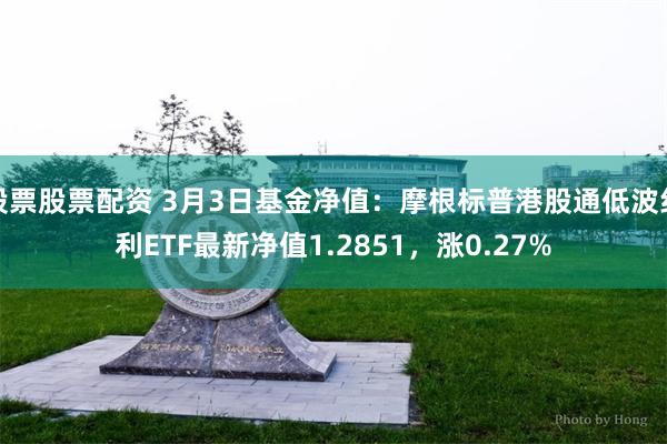 股票股票配资 3月3日基金净值：摩根标普港股通低波红利ETF最新净值1.2851，涨0.27%
