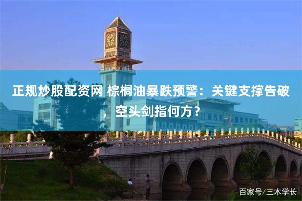 正规炒股配资网 棕榈油暴跌预警：关键支撑告破，空头剑指何方？