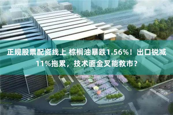 正规股票配资线上 棕榈油暴跌1.56%！出口锐减11%拖累，技术面金叉能救市？