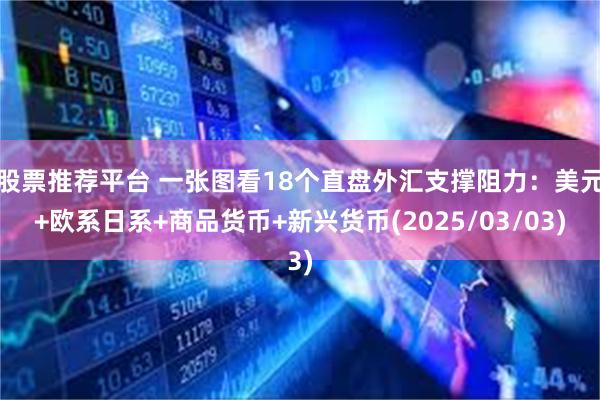 股票推荐平台 一张图看18个直盘外汇支撑阻力：美元+欧系日系+商品货币+新兴货币(2025/03/03)