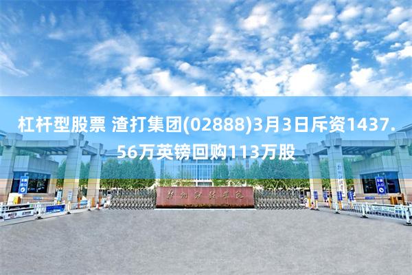杠杆型股票 渣打集团(02888)3月3日斥资1437.56万英镑回购113万股