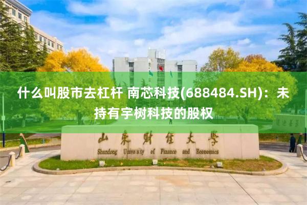 什么叫股市去杠杆 南芯科技(688484.SH)：未持有宇树科技的股权
