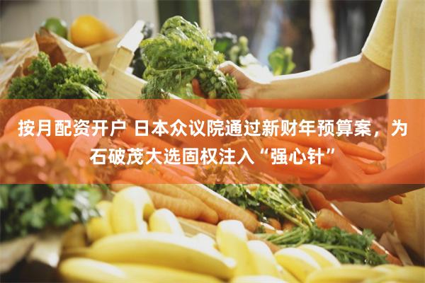 按月配资开户 日本众议院通过新财年预算案，为石破茂大选固权注入“强心针”