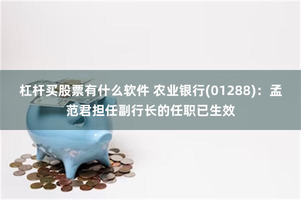 杠杆买股票有什么软件 农业银行(01288)：孟范君担任副行长的任职已生效
