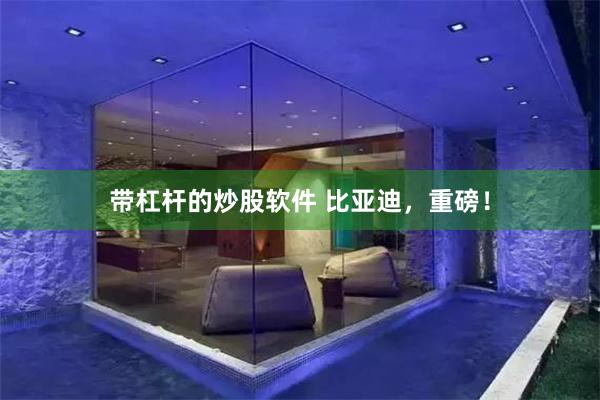 带杠杆的炒股软件 比亚迪，重磅！
