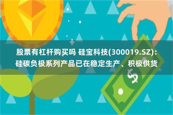 股票有杠杆购买吗 硅宝科技(300019.SZ)：硅碳负极系列产品已在稳定生产、积极供货