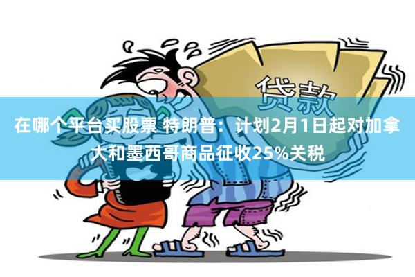 在哪个平台买股票 特朗普：计划2月1日起对加拿大和墨西哥商品征收25%关税