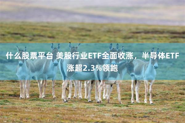 什么股票平台 美股行业ETF全面收涨，半导体ETF涨超2.3%领跑