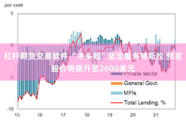 杠杆期货交易软件 “木头姐”坚定看多特斯拉 预言股价将飙升至2600美元