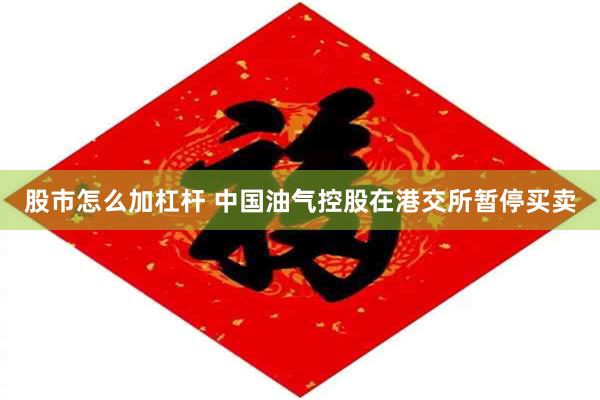 股市怎么加杠杆 中国油气控股在港交所暂停买卖