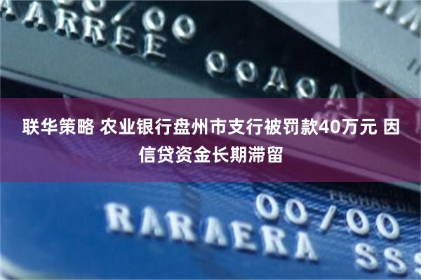 联华策略 农业银行盘州市支行被罚款40万元 因信贷资金长期滞留