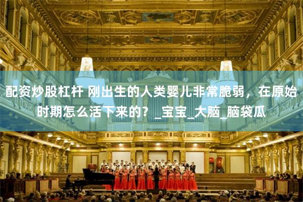 配资炒股杠杆 刚出生的人类婴儿非常脆弱，在原始时期怎么活下来的？_宝宝_大脑_脑袋瓜