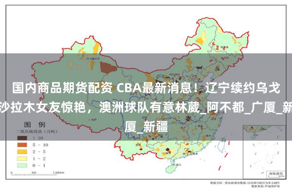 国内商品期货配资 CBA最新消息！辽宁续约乌戈，沙拉木女友惊艳，澳洲球队有意林葳_阿不都_广厦_新疆