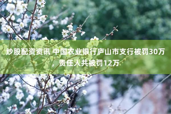炒股配资资讯 中国农业银行庐山市支行被罚30万，责任人共被罚12万