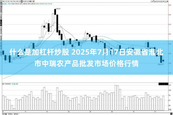 什么是加杠杆炒股 2025年7月17日安徽省淮北市中瑞农产品批发市场价格行情