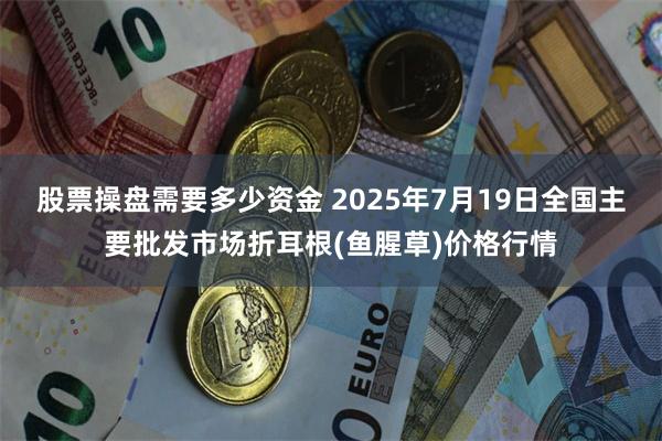 股票操盘需要多少资金 2025年7月19日全国主要批发市场折耳根(鱼腥草)价格行情