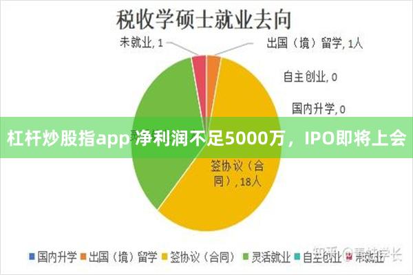 杠杆炒股指app 净利润不足5000万，IPO即将上会