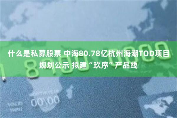 什么是私募股票 中海80.78亿杭州海潮TOD项目规划公示 拟建“玖序”产品线