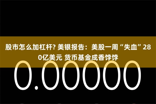 股市怎么加杠杆? 美银报告：美股一周“失血”280亿美元 货币基金成香饽饽