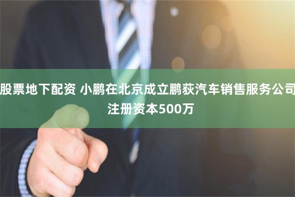 股票地下配资 小鹏在北京成立鹏荻汽车销售服务公司  注册资本500万