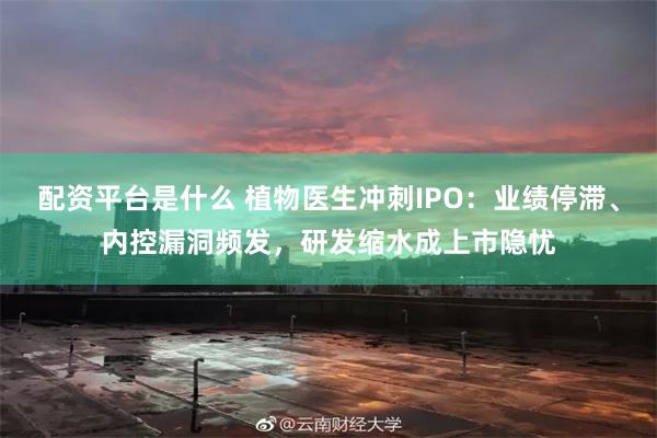 配资平台是什么 植物医生冲刺IPO：业绩停滞、内控漏洞频发，研发缩水成上市隐忧