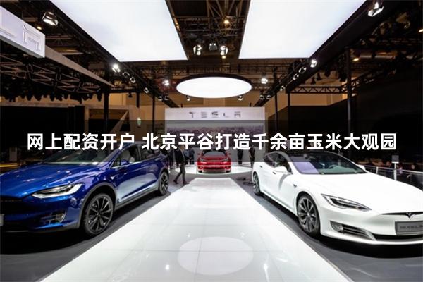 网上配资开户 北京平谷打造千余亩玉米大观园