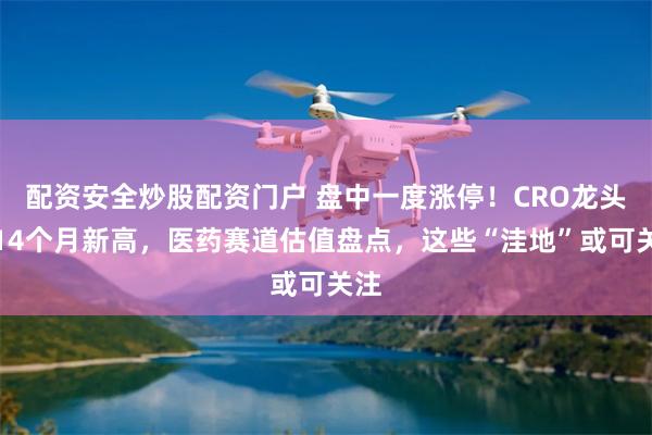 配资安全炒股配资门户 盘中一度涨停！CRO龙头创14个月新高，医药赛道估值盘点，这些“洼地”或可关注