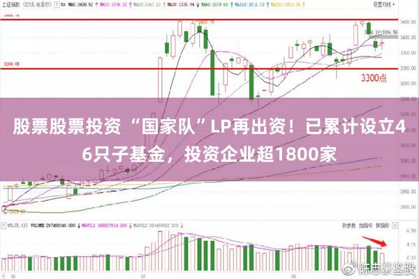 股票股票投资 “国家队”LP再出资！已累计设立46只子基金，投资企业超1800家
