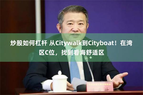 炒股如何杠杆 从Citywalk到Cityboat！在湾区C位，找到看海舒适区