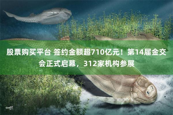 股票购买平台 签约金额超710亿元！第14届金交会正式启幕，312家机构参展