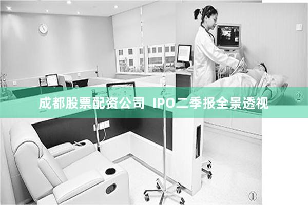 成都股票配资公司  IPO二季报全景透视